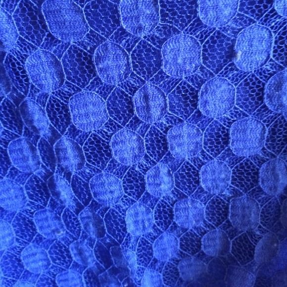 Sale!!! Forever 21 royal blue lace crop top!! - Picture 3 of 4