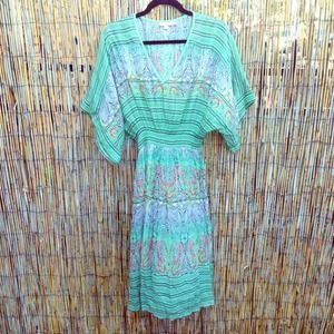 Silk chiffon printed dress