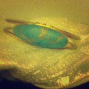 Hinged Bracelet