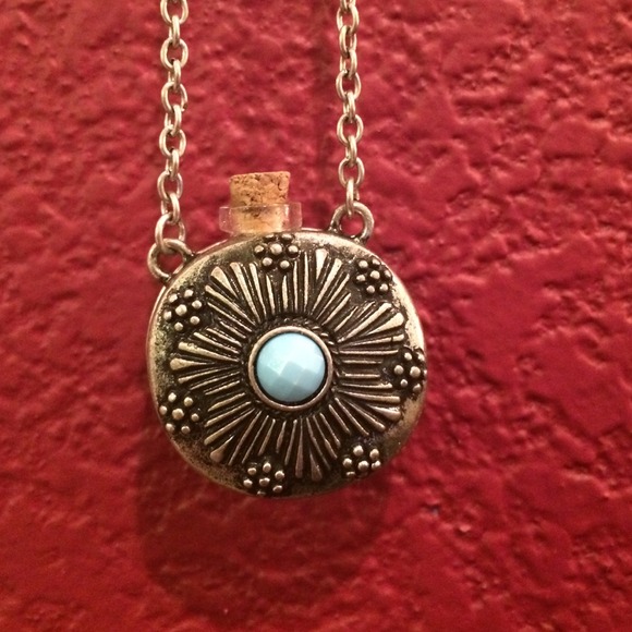 Brandy Melville Jewelry - Long Turquoise Canteen Necklace