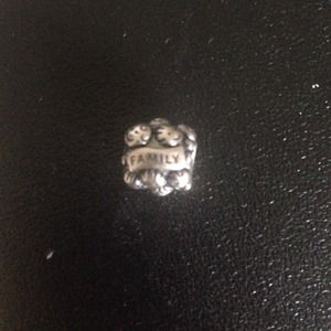 Pandora Charm Family