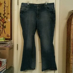 Lane Bryant bootcut jeans