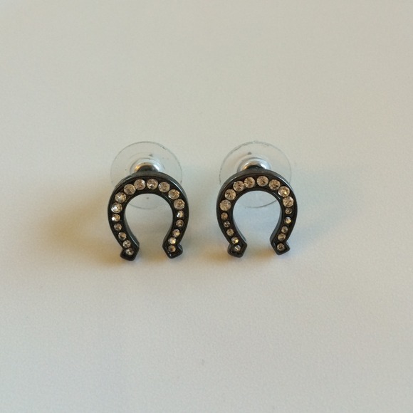 Horseshoe earrings