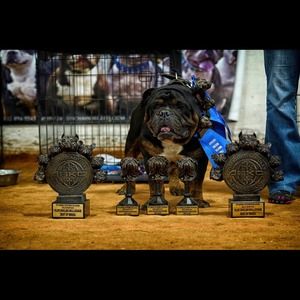 Public Service Announcement