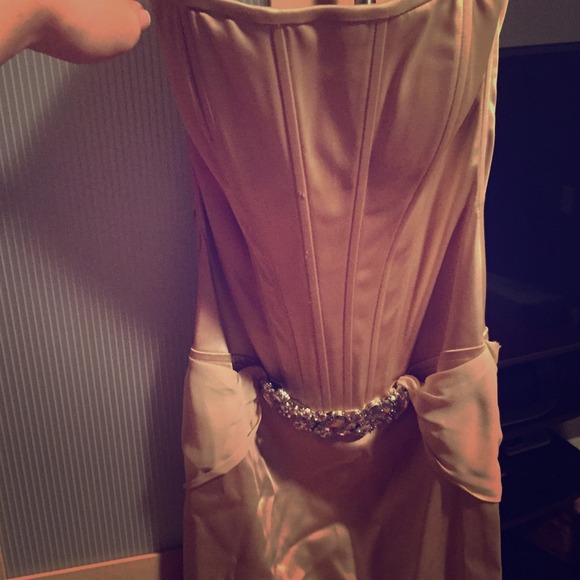 Gorgeous Swarovski crystal corset dress.
