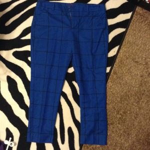 Royal Blue dress pants