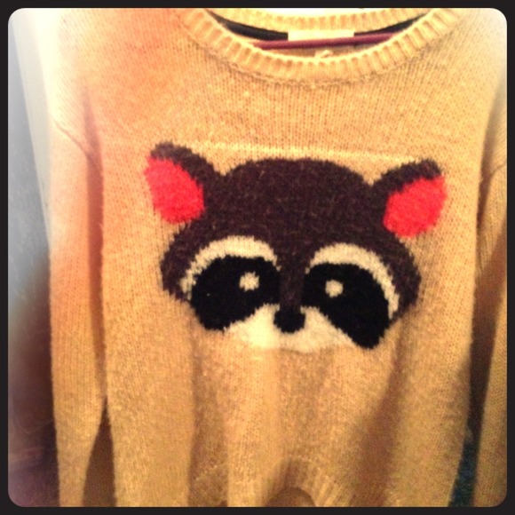 Raccoon sweater