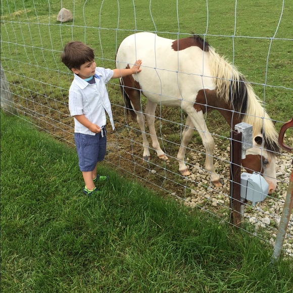 Being Noah's Mama.. - Picture 3 of 4