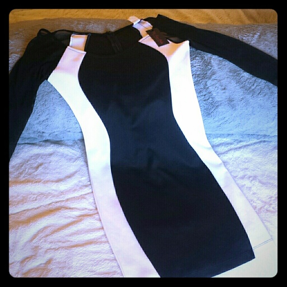 NWT Long Mesh Sleeve Dress