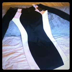 NWT Long Mesh Sleeve Dress