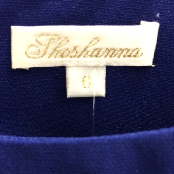 🎉HP🎉 Shoshanna Diandra Colorblock Dress - Picture 3 of 4