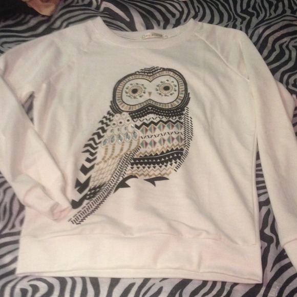 Owl bling sweater!
