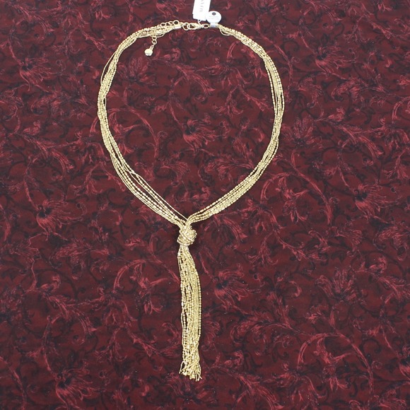 Alfani Gold-Tone Lariat Chain Necklace