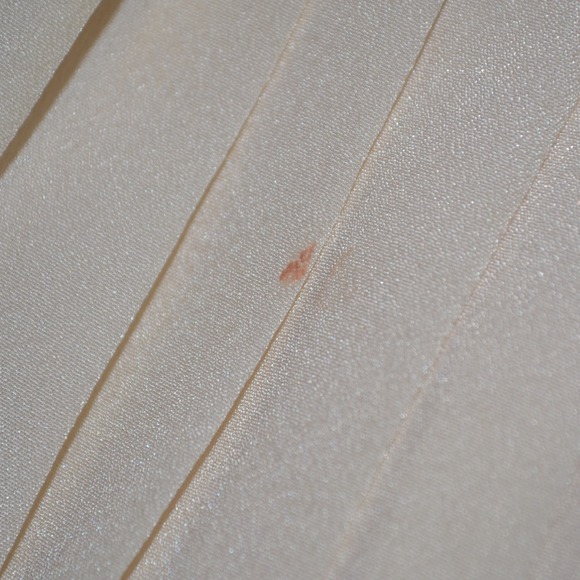 ✋SOLD IN BUNDLE✋ Vintage White Pleated Lace Dress - Picture 3 of 3