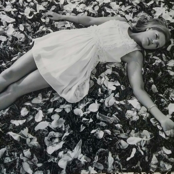 Meet buyer and seller - Picture 3 of 6