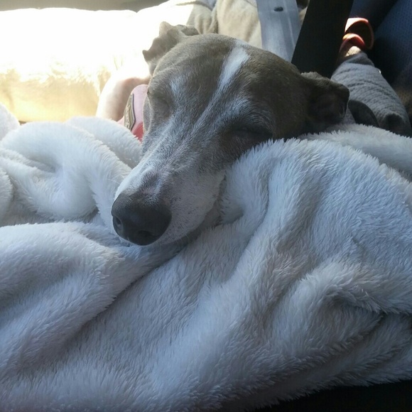 Meet buyer and seller - Picture 5 of 6