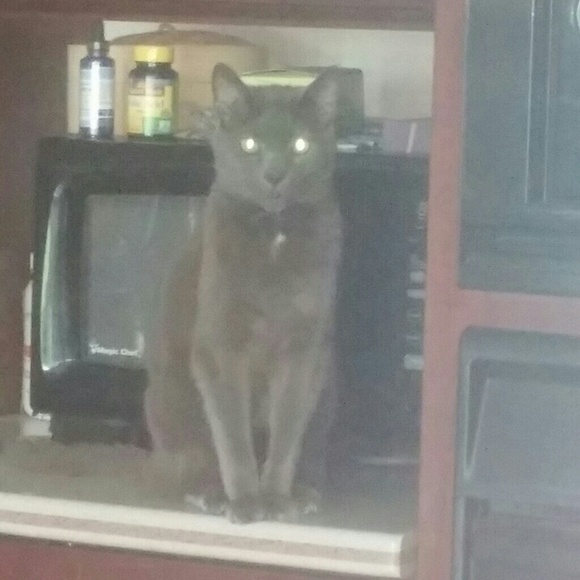 Meet buyer and seller - Picture 6 of 6