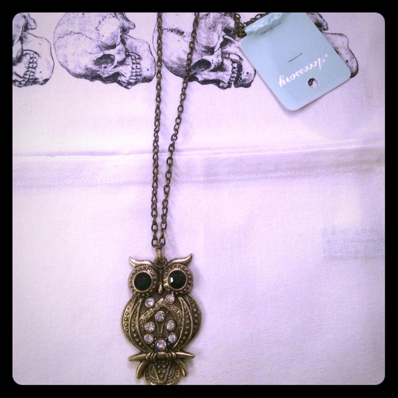 Jewelry - SOLD❌Owl Necklace
