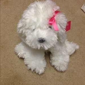 Molly Victoria Secret dog