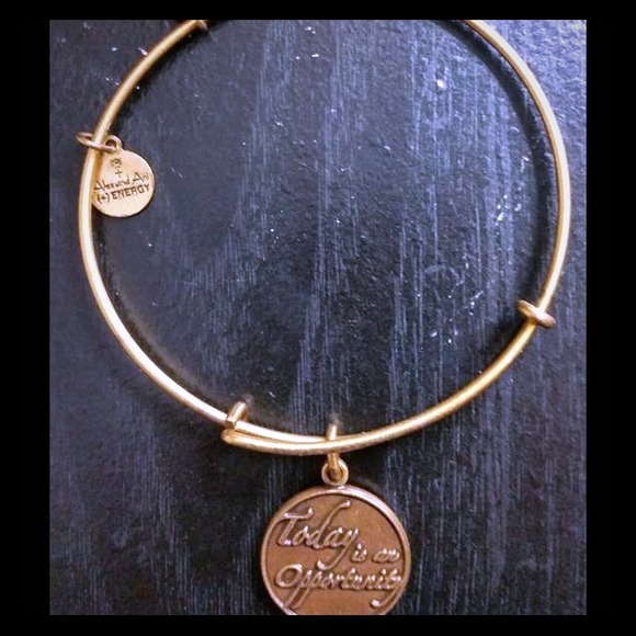 Alex and Ani charm bracelet