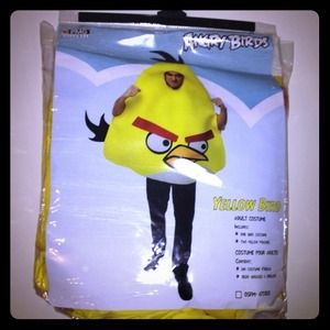 Angry Birds Costume!