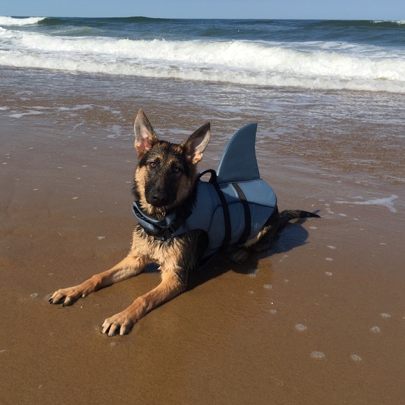 💕⭐️MEET THE SELLER! ⭐️💕 - Picture 4 of 4