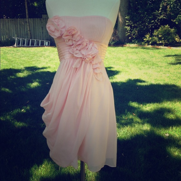 BCBG Blush Colored Strapless Dress