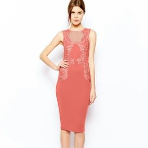 Asos crochet placed pencil dress coral us 8