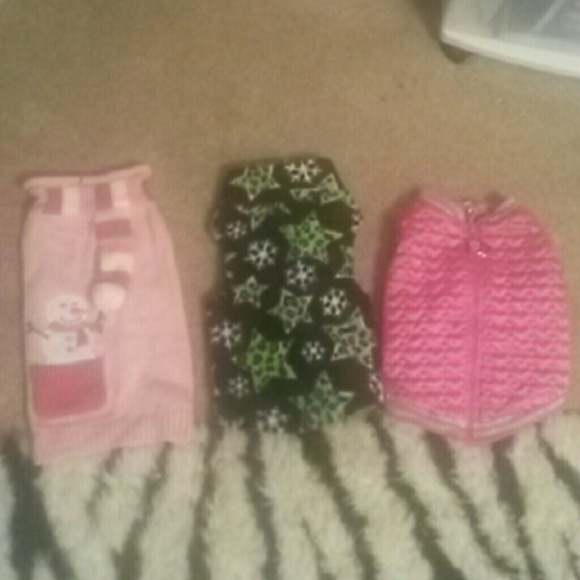 Dog clothes