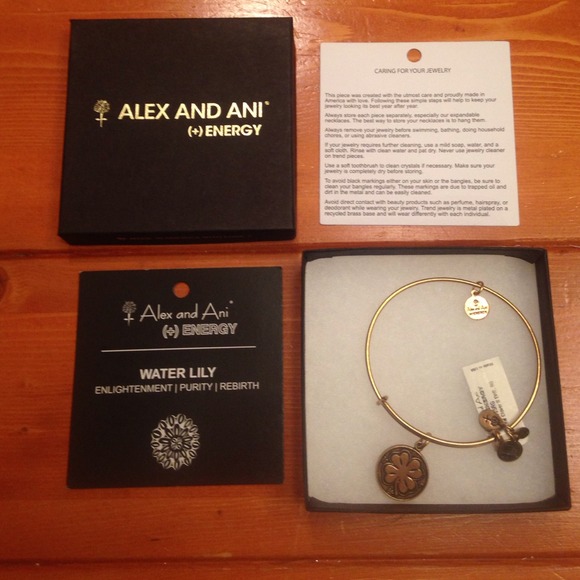 Alex and Ani bracelet