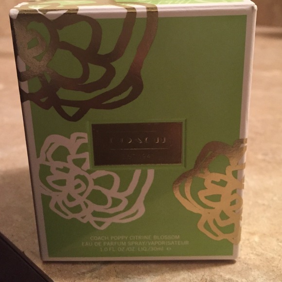 Coach perfume