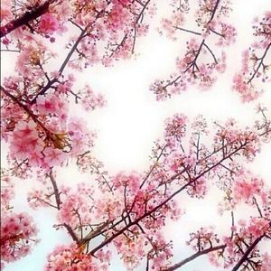 Happy to announce my store is up and running!