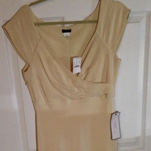 J. Crew knee length dress