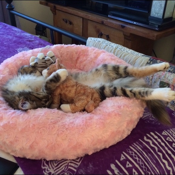 Greetings! - Picture 7 of 7