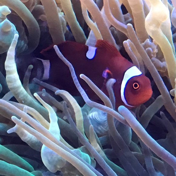 Greetings! - Picture 6 of 7