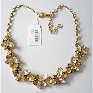 J Crew Fluttering Bees Light Pineapple