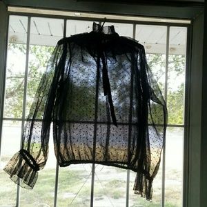 Sheer dressy top