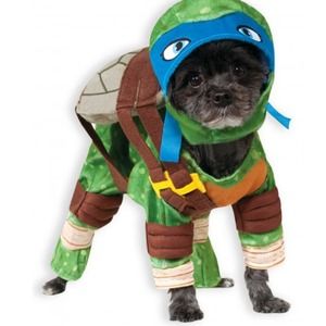Ninja Turtles Leonardo Dog Costume