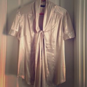 Stunning Beige Satin Top