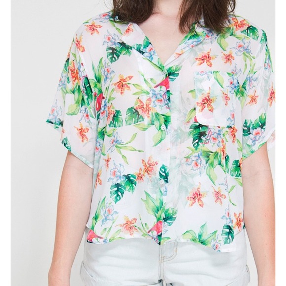 🚫🚫🚫SOLD🚫🚫🚫AA flamingo print chiffon top