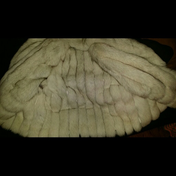 Blue Fox Coat - Picture 4 of 4