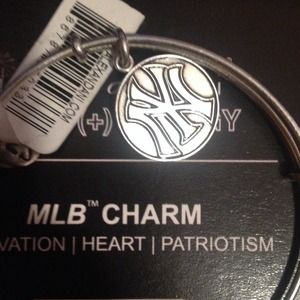 Alex & Ani Yankees Bangle holding for nahnah26