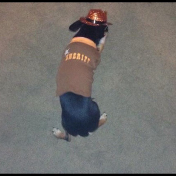 Sheriff dog tee and cowboy hat and XL cowboy