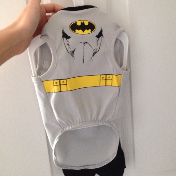Dog batman costume