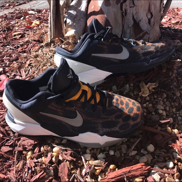 Kobe Cheetah's
