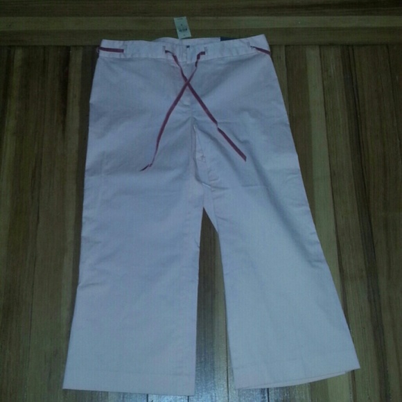 Ann Taylor Light Pink Capri Pants