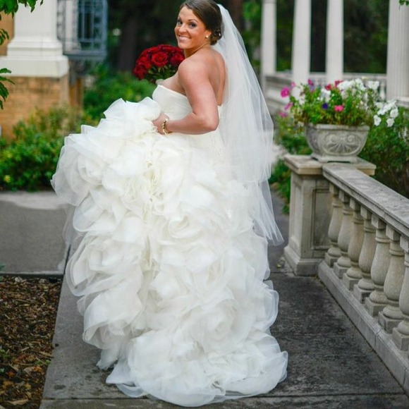 SOLD!! Tulle fit and flare - Picture 4 of 5