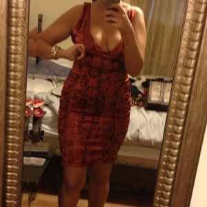Roberto Cavalli satin burgundy snake print dress