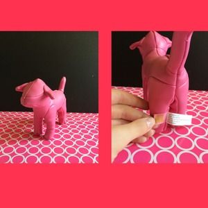 VS Pink Billion Dollar Dog!