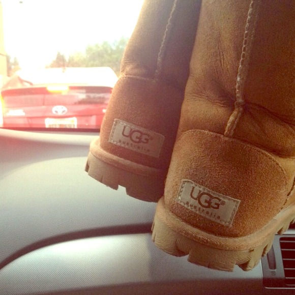 Uggs - Classic Short in Chestnut